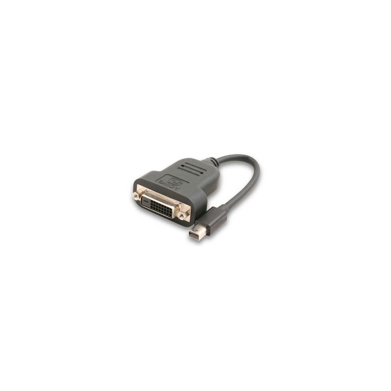 Convertisseur Mini DisplayPort vers DVI 15cm