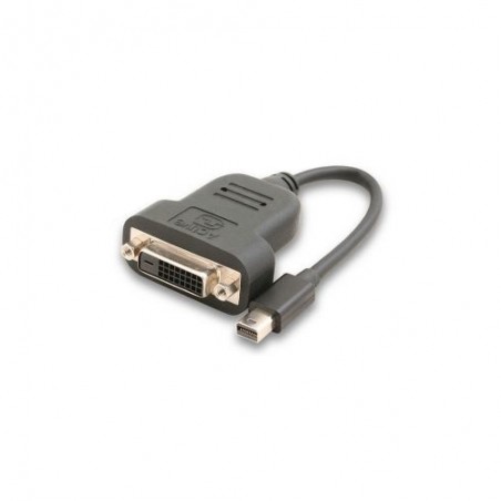 Convertisseur Mini DisplayPort vers DVI 15cm