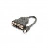 Convertisseur Mini DisplayPort vers DVI 15cm
