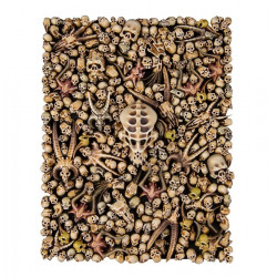 Warhammer Age Of Sigmar : Skulls