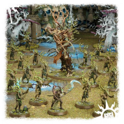 Warhammer Age Of Sigmar : Start Collecting! Sylvaneth