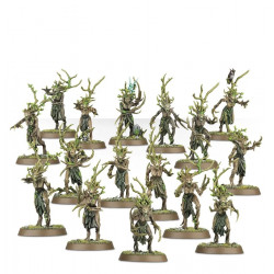 Warhammer Age Of Sigmar : Start Collecting! Sylvaneth