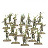 Warhammer Age Of Sigmar : Start Collecting! Sylvaneth