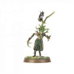 Warhammer Age Of Sigmar : Start Collecting! Sylvaneth