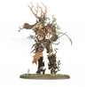 Warhammer Age Of Sigmar : Start Collecting! Sylvaneth