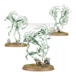 Warhammer Age Of Sigmar : Spirit Hosts