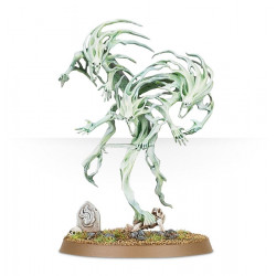 Warhammer Age Of Sigmar : Spirit Hosts