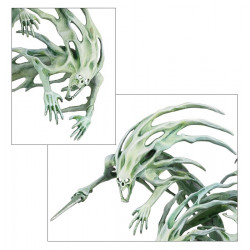 Warhammer Age Of Sigmar : Spirit Hosts