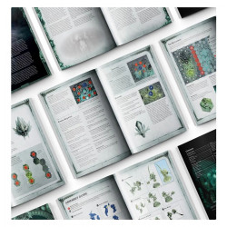 Warhammer Underworlds : Set d'Initiation