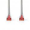Cordon RJ45 Cat. 6 S/FTP 1m gris