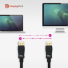 Câble DisplayPort 1.4 Nanocable 2m M/M (Noir)